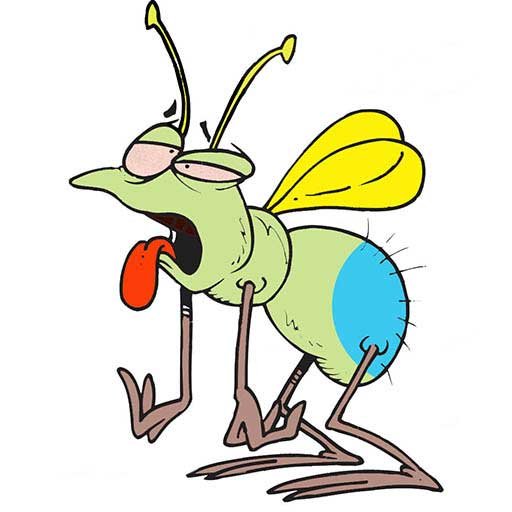 Blue Arsed Fly